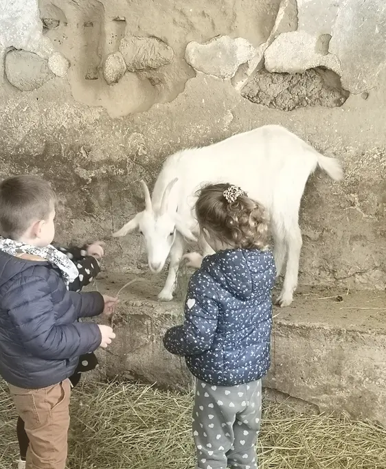 centre-equestre